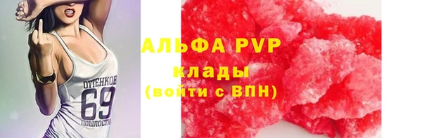 прущие крисы Балахна